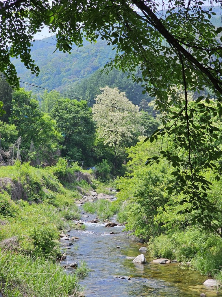 졸졸 계곡물이 흐르고 있고 배경에는 큰 산이 보입니다.