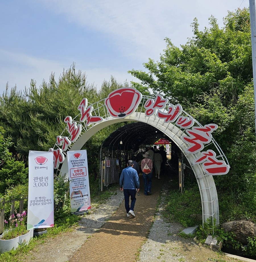 용수골 꽃양귀비 축제 라는 글씨가 적힌 터널 입구 입니다.