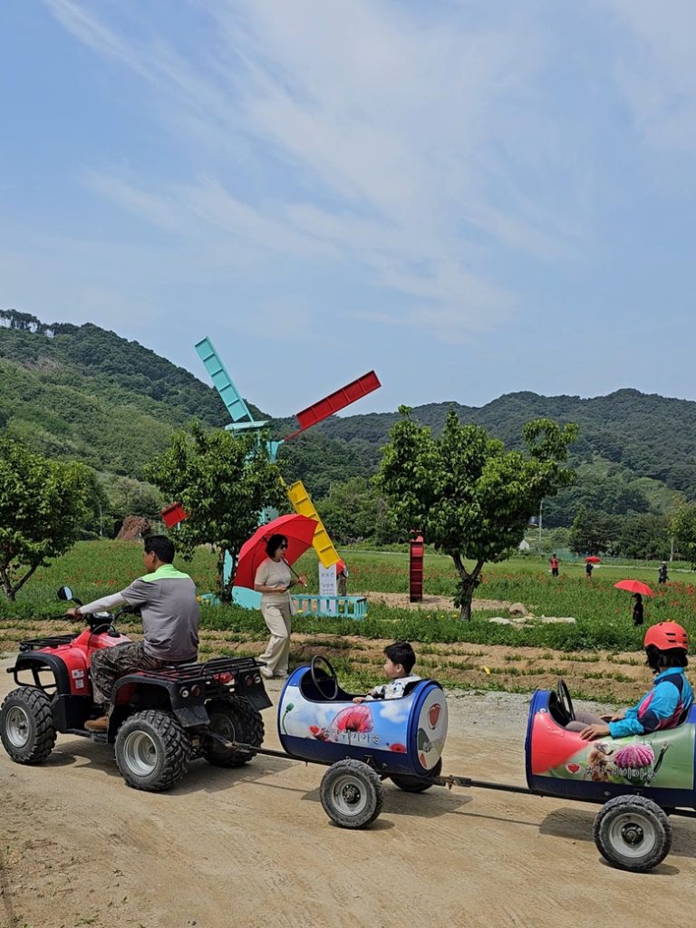 용수골 꽃양귀비 축제 부대시설인 깡통열차 입니다.